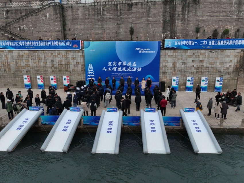 放流現(xiàn)場(chǎng)。宜賓市廣播電視臺(tái)供圖