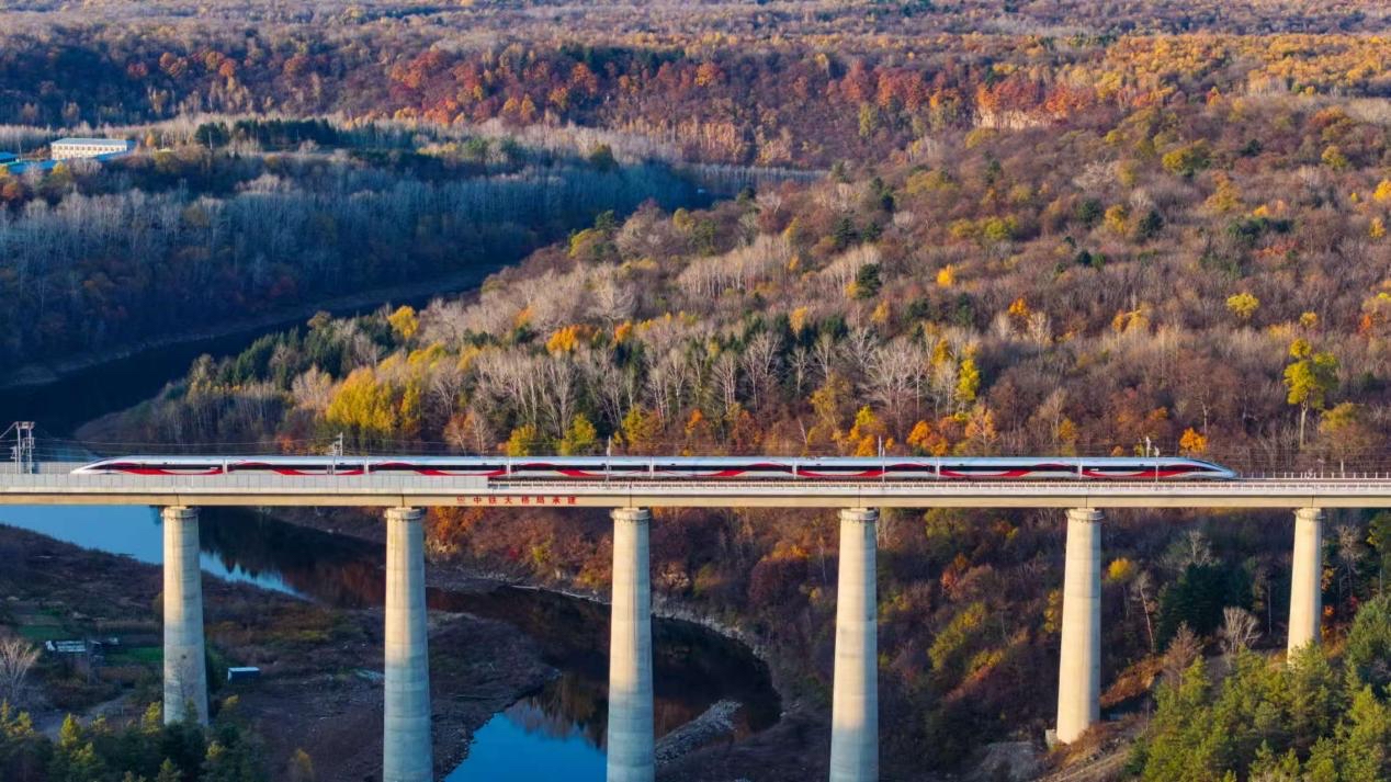 沈白高鐵正式開通運(yùn)營。受訪方供圖